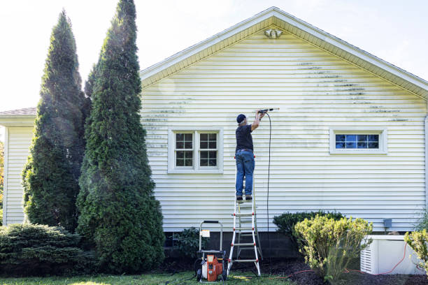 Local Pressure Washing Services in Nuevo, CA