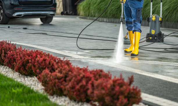 Best Local Pressure Washing Services  in Nuevo, CA