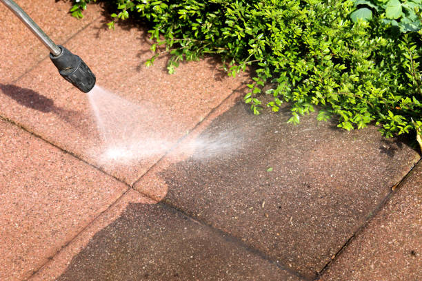 Best Fence Pressure Washing  in Nuevo, CA